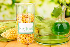 Briery biofuel availability