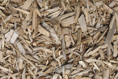 biomass boilers Briery