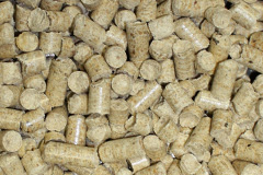 Briery biomass boiler costs